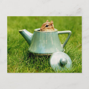 Niedlicher Chipmunk in Teapot Postkarte