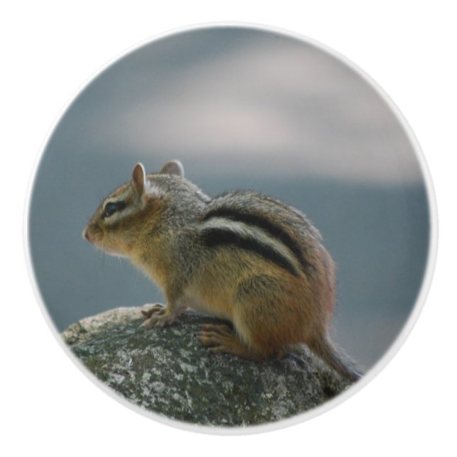 Niedlicher Chipmunk Keramikknauf (Vorderseite)