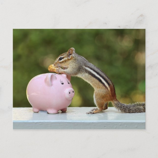 Niedlicher Chipmunk mit dem Funny Money Piggy Bank Postkarte (Vorderseite)