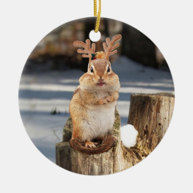 Niedlicher Chipmunk mit den Geweihen Keramikornament (Vorne)