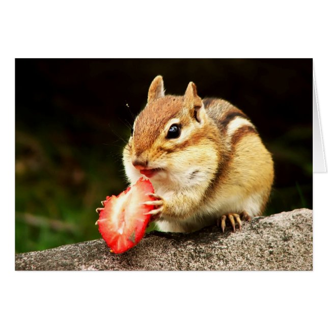 Niedlicher Chipmunk mit saftiger Erdbeerkarte (Vorderseite (Horizontal))