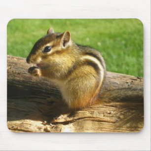 Niedlicher Chipmunk Mousepad