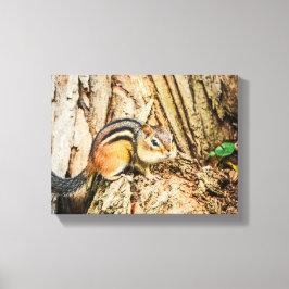 Niedlicher Chipmunk Wildtiere Natur Leinwanddruck