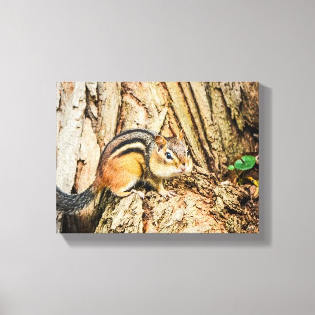 Niedlicher Chipmunk Wildtiere Natur Leinwanddruck (Vorderseite)