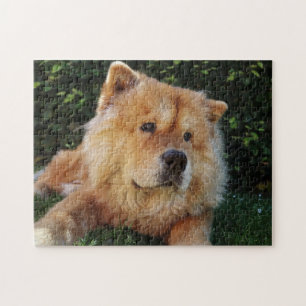 Niedlicher Chow-Chow-Hund Puzzle