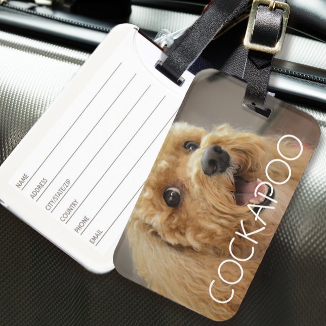 Niedlicher Cockapoo Hund Haustier Hund Lover Reise Gepäckanhänger (Cute Cockapoo Dog Pet Animal Dog Lover Travel Luggage Tag)