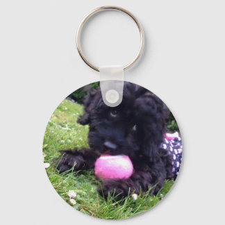 Niedlicher Cockapoo Welpe Round Button Key Ring Schlüsselanhänger