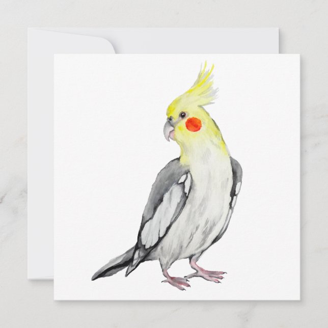 Niedlicher Cockatiel-Aquarellpapagei. (Vorderseite)