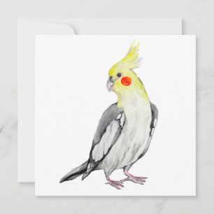 Niedlicher Cockatiel-Aquarellpapagei.