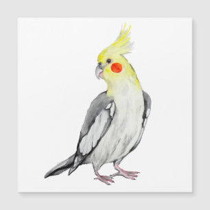 Niedlicher Cockatiel-Aquarellpapagei. Magnetkarte