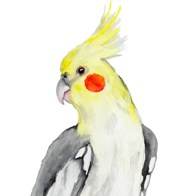 Niedlicher Cockatiel-Aquarellpapagei. Rundes Kissen (Von Creator hochgeladen)