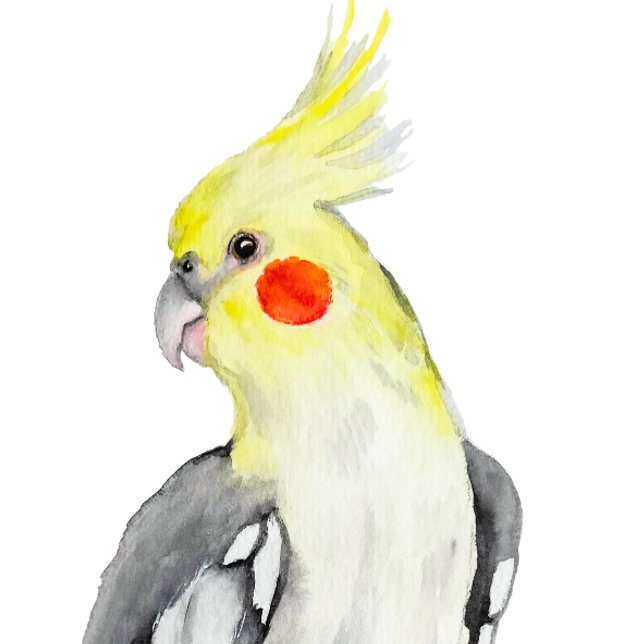 Niedlicher Cockatiel-Aquarellpapagei. T-Shirt (Von Creator hochgeladen)