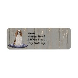 Niedlicher Cocker Spaniel sitzt auf blauem Polster