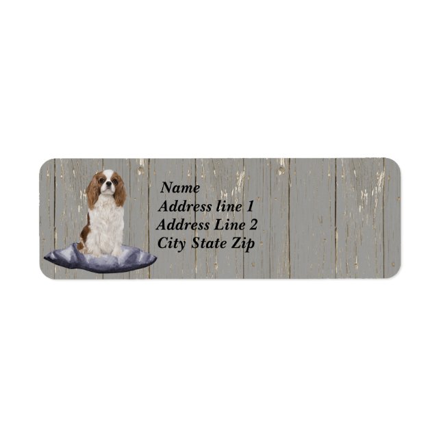 Niedlicher Cocker Spaniel sitzt auf blauem Polster (Vorne)