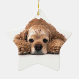 Niedlicher Cockerspaniel Keramik Ornament
