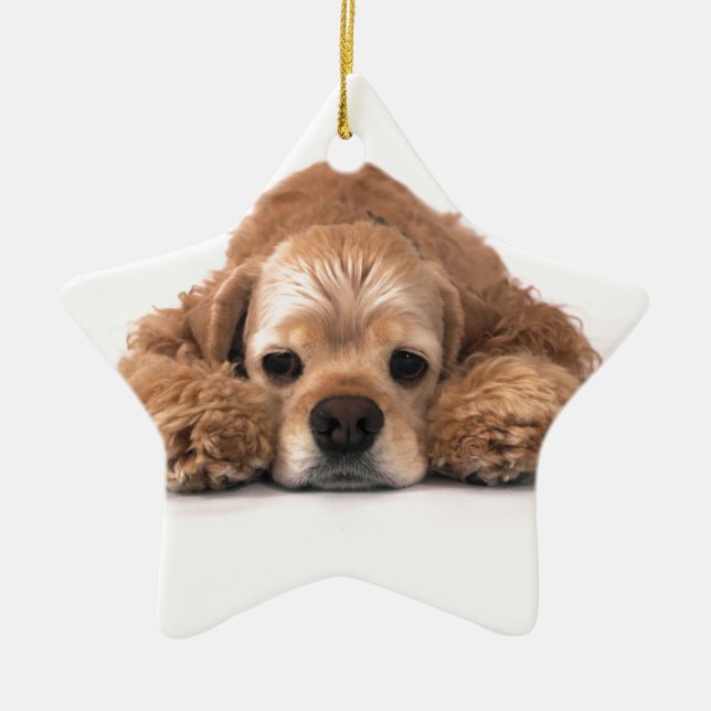 Niedlicher Cockerspaniel Keramik Ornament (Vorne)