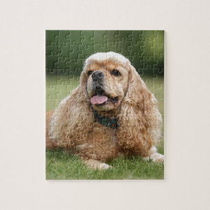 Niedlicher Cockerspaniel Puzzle