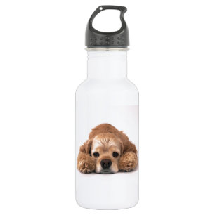 Niedlicher Cockerspaniel Trinkflasche