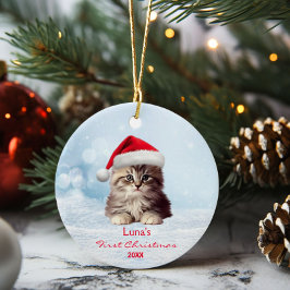 Niedlicher Coon Cat Weihnachtsmannmütze Schnee Per Keramik Ornament