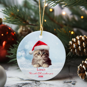 Niedlicher Coon Cat Weihnachtsmannmütze Schnee Per Keramik Ornament