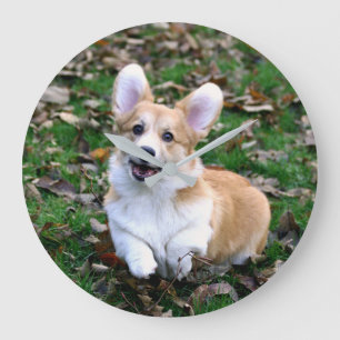 Niedlicher Corgi-Hund springend Große Wanduhr