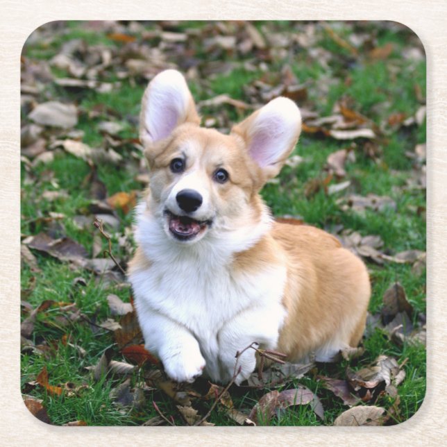 Niedlicher Corgi-Hund springend Rechteckiger Pappuntersetzer (Vorderseite)
