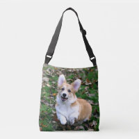 Niedlicher Corgi-Hund springend
