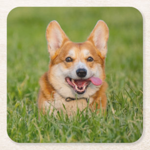 Niedlicher Corgi im Gras Rechteckiger Pappuntersetzer