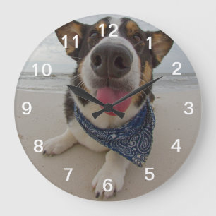 Niedlicher Corgi mit der Zunge heraus Große Wanduhr