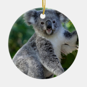 Niedlicher cuddly australischer Koala Keramikornament