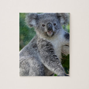 Niedlicher cuddly australischer Koala Puzzle
