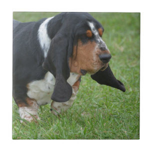 Niedlicher Dachshund-Jagdhund Fliese