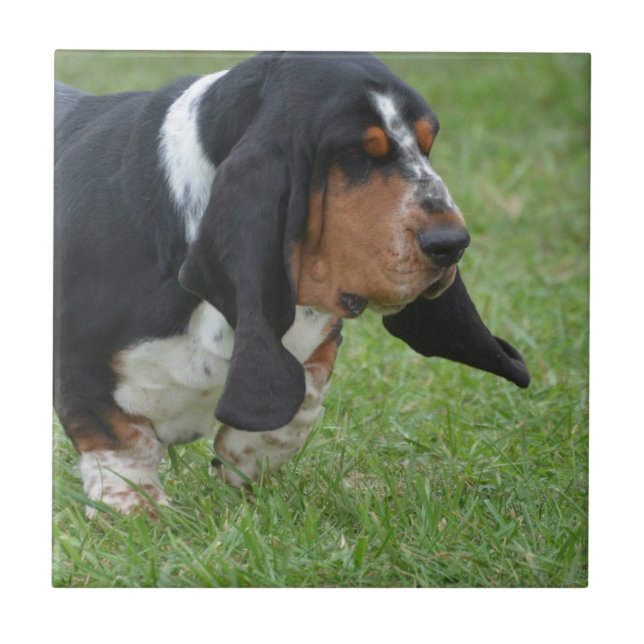 Niedlicher Dachshund-Jagdhund Fliese (Vorderseite)