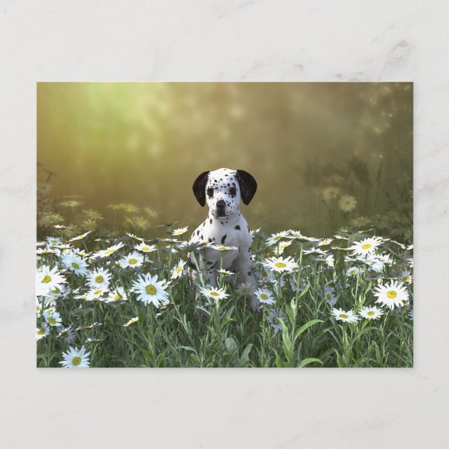 Niedlicher Dalmatiner Welpe in Daisies Postkarte (Vorderseite)
