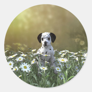 Niedlicher Dalmatiner Welpe in Daisies Runder Aufkleber