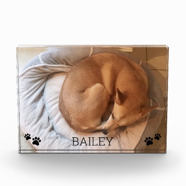 Niedlicher Dog Pet Foto Name Pawprints Foto Block (Vorderseite)