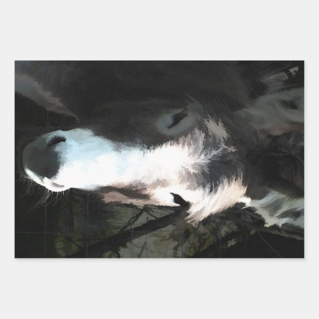 NIEDLICHER DONKEY GESCHENKPAPIER SET (Vorderseite)