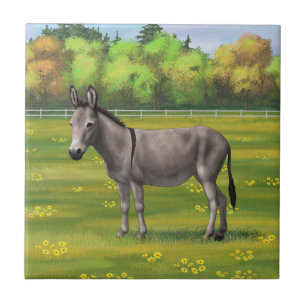Niedlicher Donkey Gray Burro in Weide Fliese