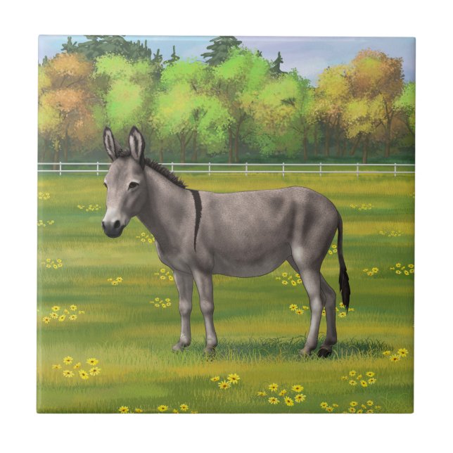 Niedlicher Donkey Gray Burro in Weide Fliese (Vorderseite)