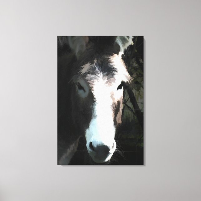 NIEDLICHER DONKEY LEINWANDDRUCK (Vorderseite)