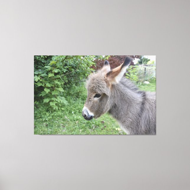 Niedlicher Donkey Leinwanddruck (Vorderseite)
