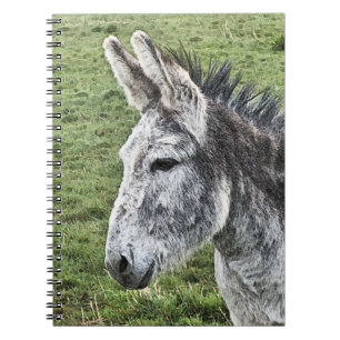 NIEDLICHER DONKEY NOTIZBLOCK