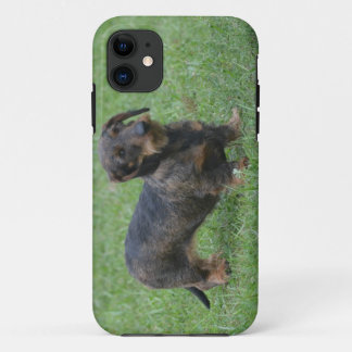 Niedlicher Draht-behaarte Dackel Case-Mate iPhone Hülle