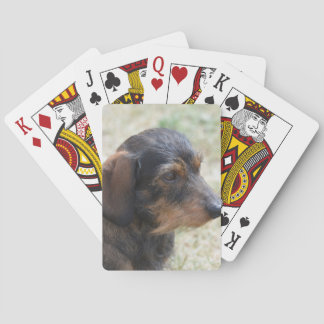 Niedlicher Draht behaartes Daschund Spielkarten