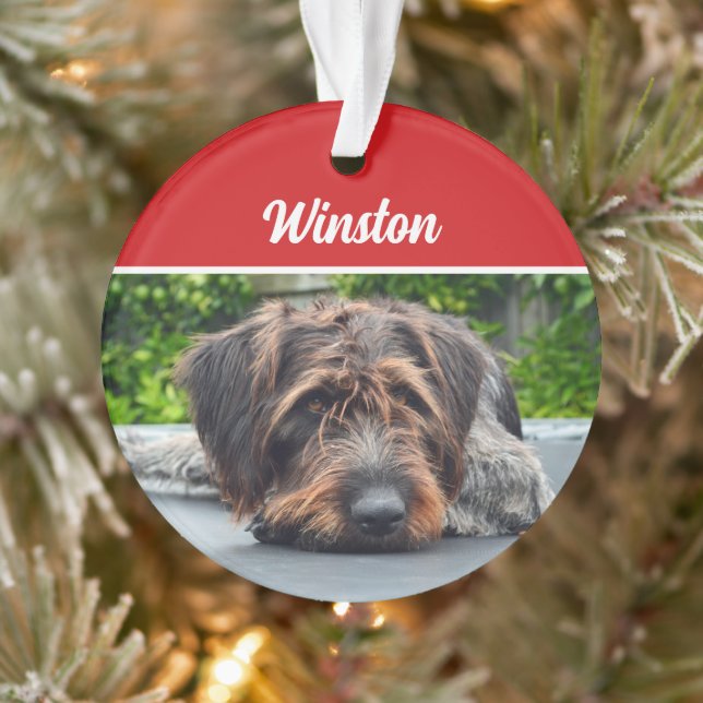 Niedlicher Drahthaarterrier Pointer Dog Weihnachts Ornament (Baum)