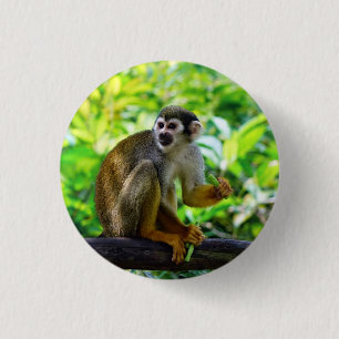 Niedlicher Eichhörnchenaffe Button