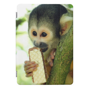 Niedlicher Eichhörnchenaffe, der einen Wafer Biscu iPad Pro Cover