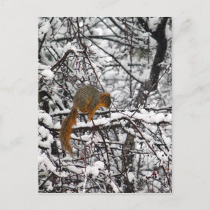 Niedlicher Eichhörnchenschneebaum Postkarte
