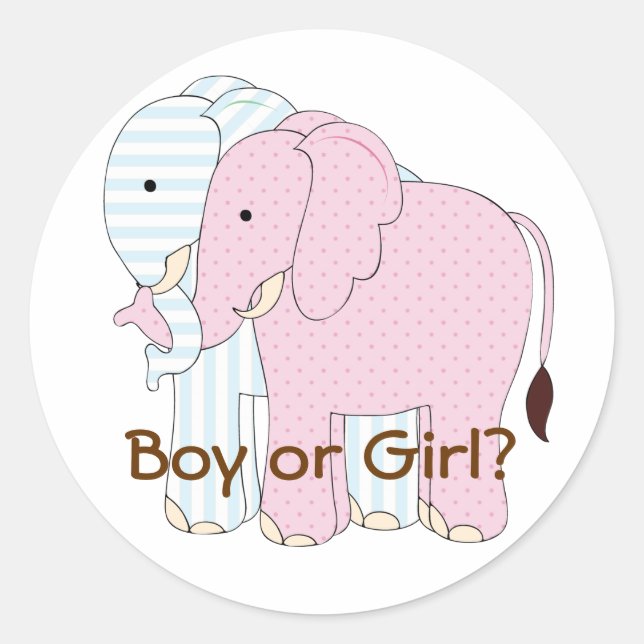 Niedlicher Elephant Baby Gender Reveal Par ty Aufk Runder Aufkleber (Vorderseite)
