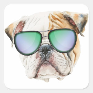 Niedlicher englischer Bulldog mit Sonnenbrille, lu Quadratischer Aufkleber